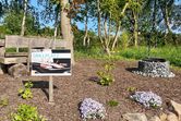 Grillplatz Haus Wald am Meer & Reethus Rotbuche