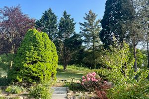 Naturidyll Mariendorf - Ferienwohnung Mammutbaum Naturidyll Mariendorf - Ferienwohnung Mammutbaum